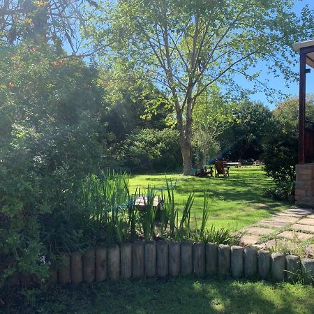Bed and Breakfast Forest Glen à Knysna Extérieur photo