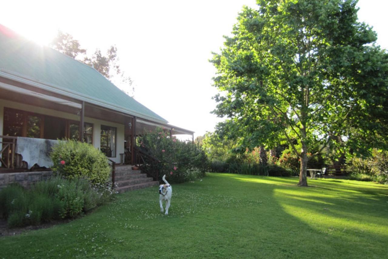 Bed and Breakfast Forest Glen à Knysna Extérieur photo
